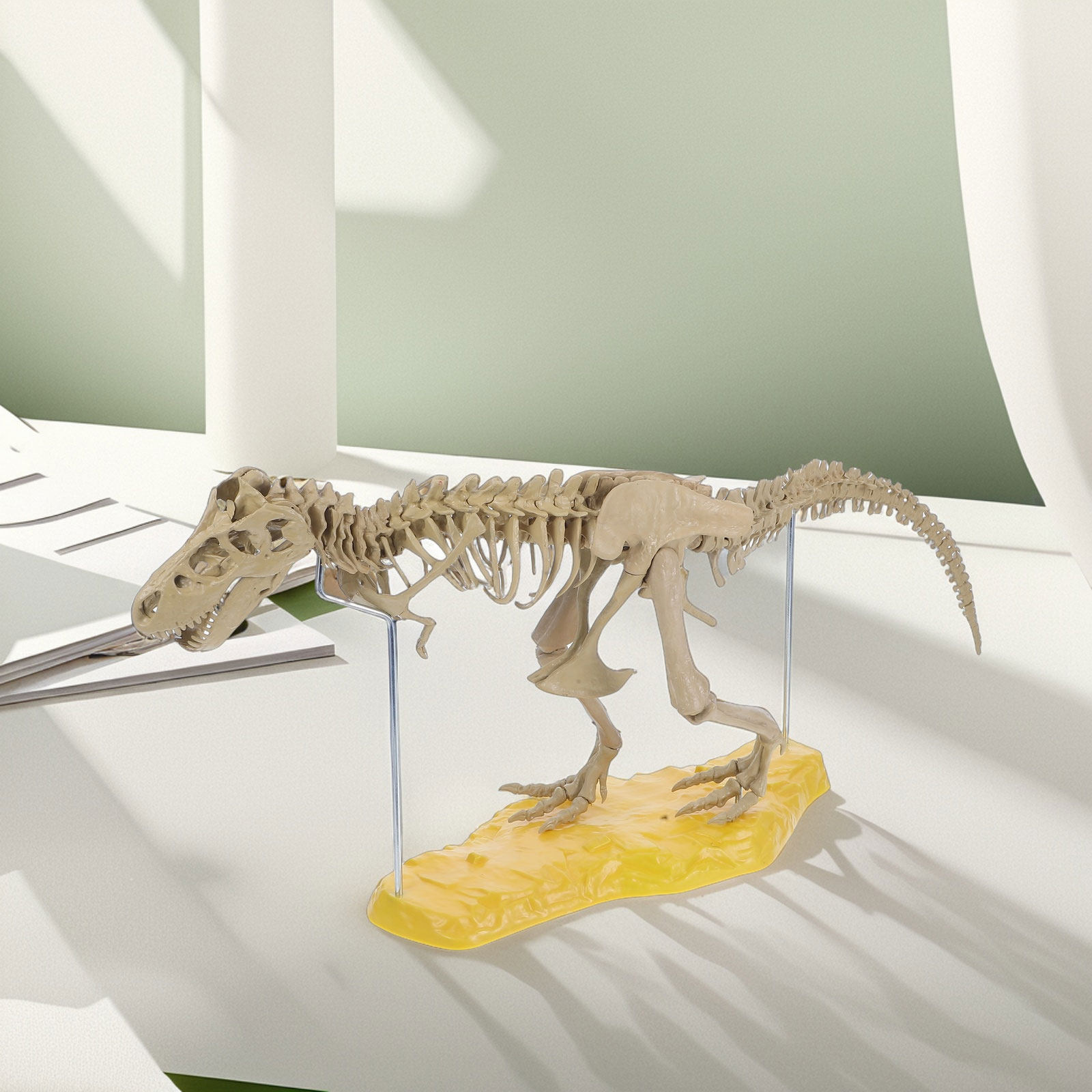 1Set Assembly Dinosaur PVC Kit - Art Craft Dinosaurs 评论和价格