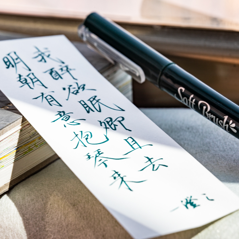 6Pcs Soft Brush Tip Marker Pen - Illustration Marker Set 评论和价格